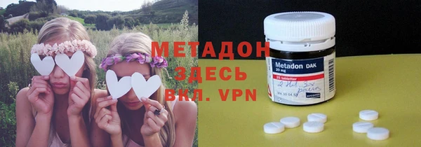 индика Абаза