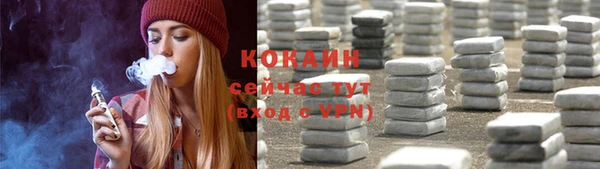 индика Абаза