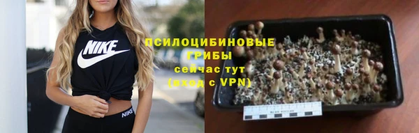 гашик Абдулино