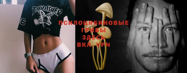 индика Абинск