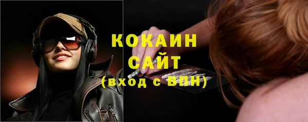 индика Абаза