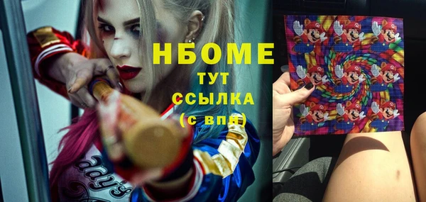 индика Абаза
