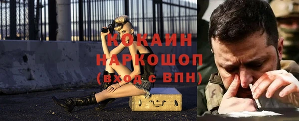 индика Абинск