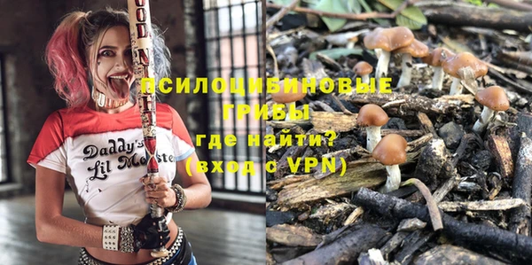 индика Абинск