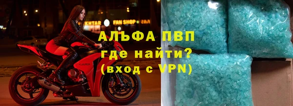 индика Абинск