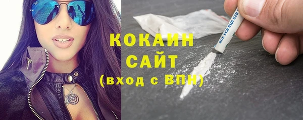 индика Абинск