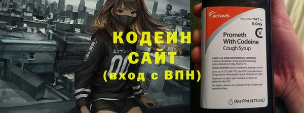 индика Абаза