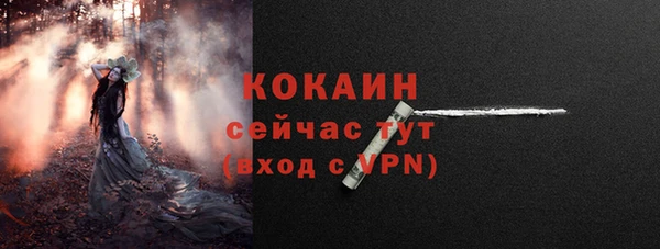 индика Абинск