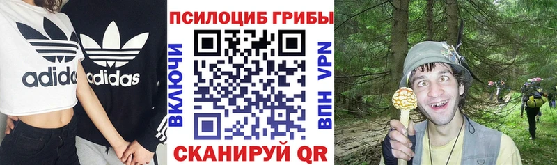 Псилоцибиновые грибы Psilocybine cubensis  Циолковский 